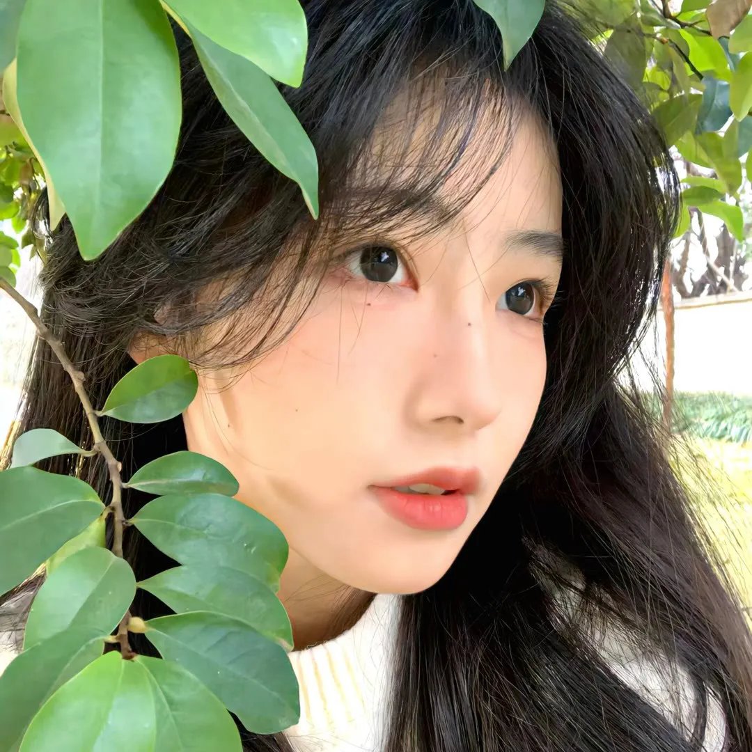 家在南三条